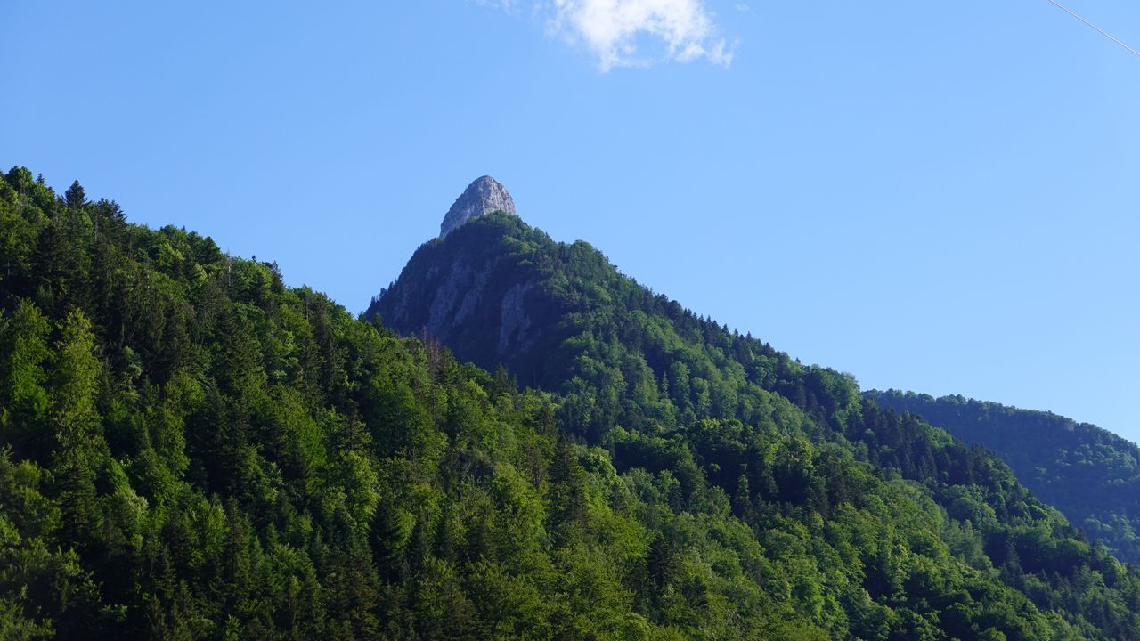 Wallpaper mountain, trees, forest, landscape