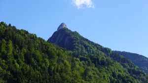 Preview wallpaper mountain, trees, forest, landscape