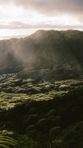 Preview wallpaper mountain, trees, forest, valley, houses