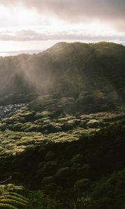 Preview wallpaper mountain, trees, forest, valley, houses