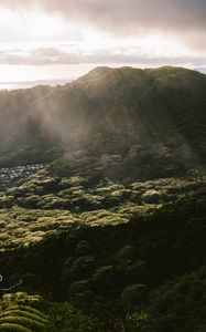 Preview wallpaper mountain, trees, forest, valley, houses