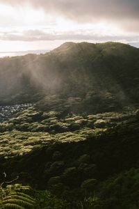 Preview wallpaper mountain, trees, forest, valley, houses