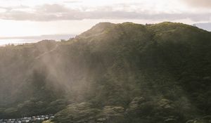 Preview wallpaper mountain, trees, forest, valley, houses