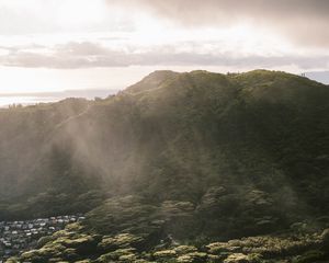 Preview wallpaper mountain, trees, forest, valley, houses