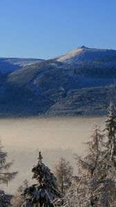 Preview wallpaper mountain, trees, frost, spruce, cloud, height, haze