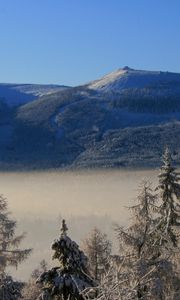 Preview wallpaper mountain, trees, frost, spruce, cloud, height, haze