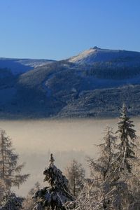 Preview wallpaper mountain, trees, frost, spruce, cloud, height, haze