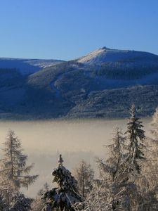 Preview wallpaper mountain, trees, frost, spruce, cloud, height, haze