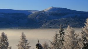 Preview wallpaper mountain, trees, frost, spruce, cloud, height, haze