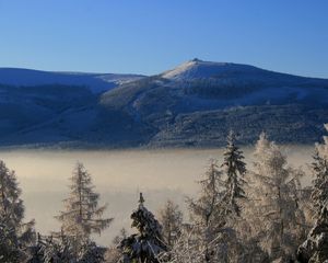 Preview wallpaper mountain, trees, frost, spruce, cloud, height, haze