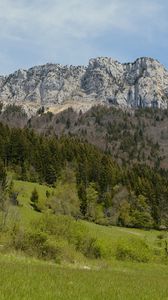 Preview wallpaper mountain, trees, grass, greenery, summer, landscape