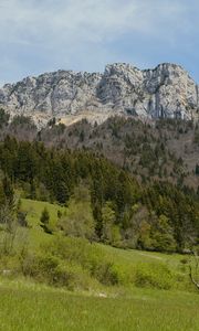 Preview wallpaper mountain, trees, grass, greenery, summer, landscape