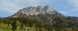 Preview wallpaper mountain, trees, grass, greenery, summer, landscape