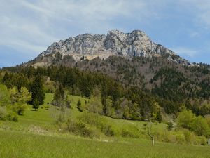 Preview wallpaper mountain, trees, grass, greenery, summer, landscape