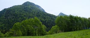 Preview wallpaper mountain, trees, grass, field