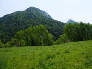 Preview wallpaper mountain, trees, grass, field