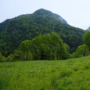 Preview wallpaper mountain, trees, grass, field