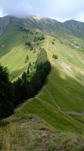 Preview wallpaper mountain, trees, grasses, mountain range, landscape