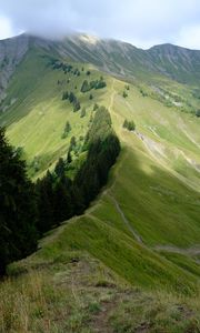 Preview wallpaper mountain, trees, grasses, mountain range, landscape