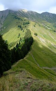 Preview wallpaper mountain, trees, grasses, mountain range, landscape