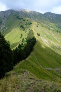 Preview wallpaper mountain, trees, grasses, mountain range, landscape