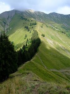 Preview wallpaper mountain, trees, grasses, mountain range, landscape