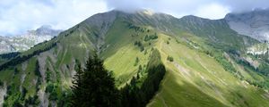 Preview wallpaper mountain, trees, grasses, mountain range, landscape