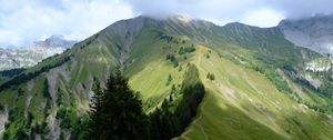Preview wallpaper mountain, trees, grasses, mountain range, landscape