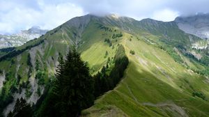 Preview wallpaper mountain, trees, grasses, mountain range, landscape