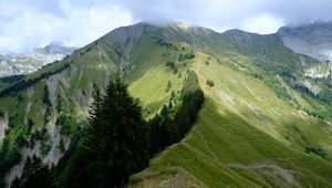 Preview wallpaper mountain, trees, grasses, mountain range, landscape