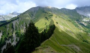 Preview wallpaper mountain, trees, grasses, mountain range, landscape