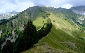 Preview wallpaper mountain, trees, grasses, mountain range, landscape