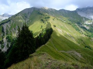 Preview wallpaper mountain, trees, grasses, mountain range, landscape