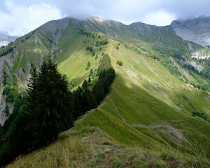 Preview wallpaper mountain, trees, grasses, mountain range, landscape