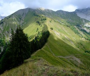 Preview wallpaper mountain, trees, grasses, mountain range, landscape