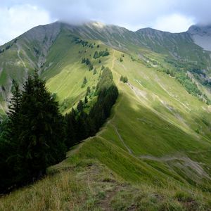 Preview wallpaper mountain, trees, grasses, mountain range, landscape