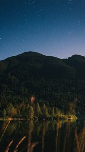 Preview wallpaper mountain, trees, lake, forest, starry sky