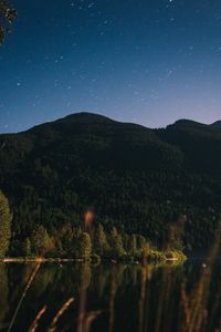 Preview wallpaper mountain, trees, lake, forest, starry sky