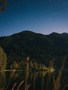 Preview wallpaper mountain, trees, lake, forest, starry sky