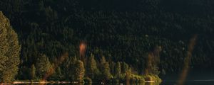 Preview wallpaper mountain, trees, lake, forest, starry sky