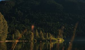 Preview wallpaper mountain, trees, lake, forest, starry sky