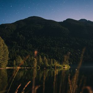 Preview wallpaper mountain, trees, lake, forest, starry sky