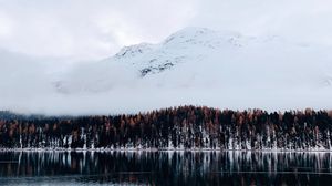 Preview wallpaper mountain, trees, lake, snow, winter, sky