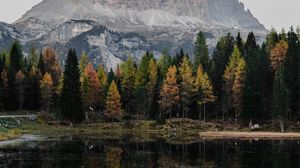 Preview wallpaper mountain, trees, lake, reflection, landscape