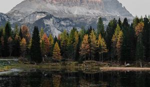Preview wallpaper mountain, trees, lake, reflection, landscape
