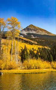 Preview wallpaper mountain, trees, lake, reflection, autumn
