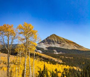 Preview wallpaper mountain, trees, lake, reflection, autumn