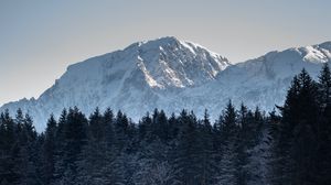 Preview wallpaper mountain, trees, lake, landscape