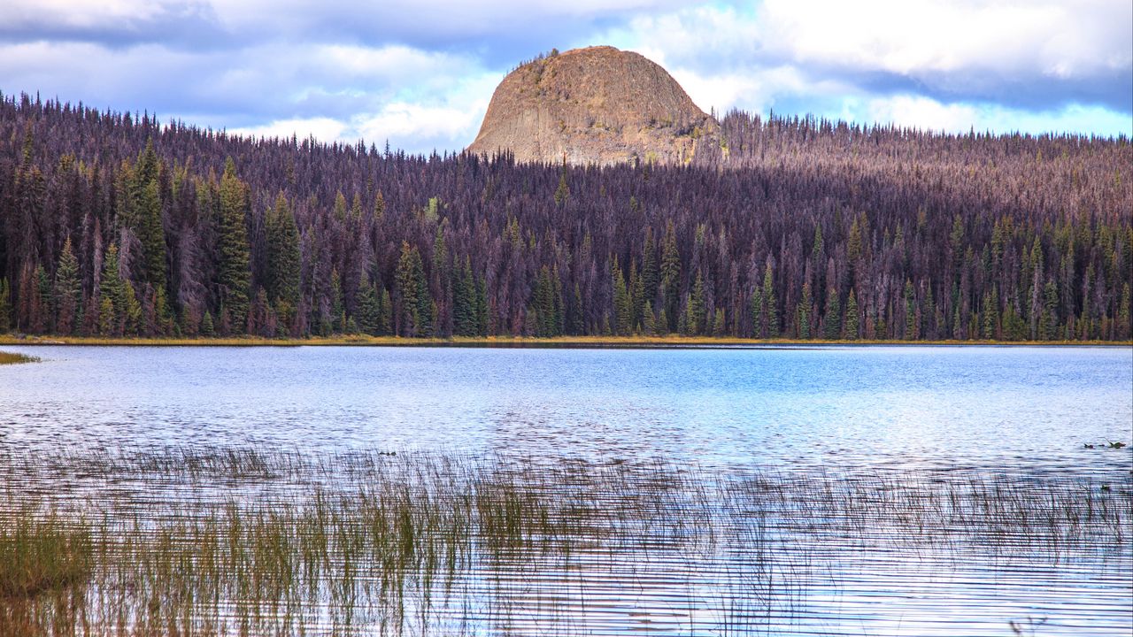 Wallpaper mountain, trees, lake, grass, nature