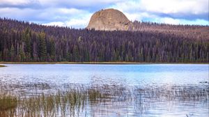 Preview wallpaper mountain, trees, lake, grass, nature